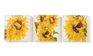 Sunflower Canvas Set