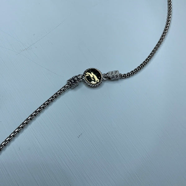 silver w/ gold disc necklace